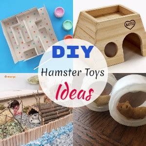 hamster play yard|25 Super Cool DIY Hamster Toy Ideas .